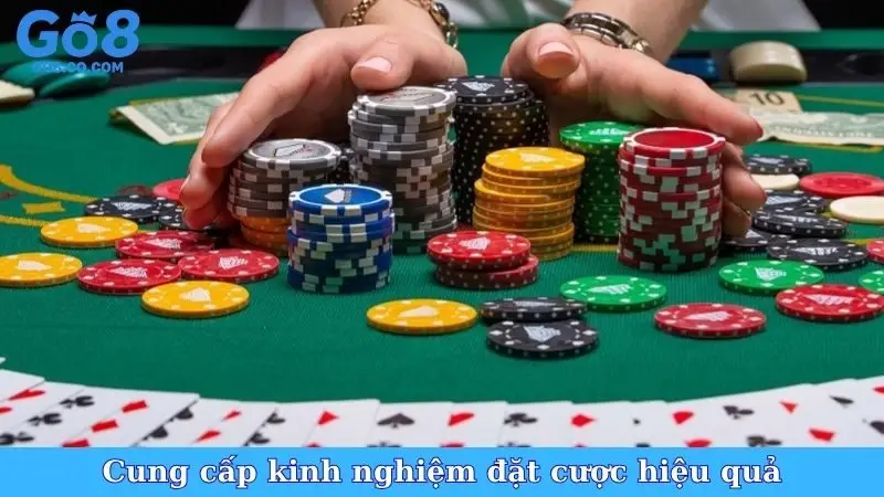 Cung cấp kinh nghiệm đặt cược hiệu quả